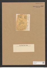 Schizonema molle W. Sm. (de-Toni-Nr.: Genus 20, Species 1183) Zeichnungen Sammlung Grunow Nr. 2283 (NHMW-BOT-W0369403)